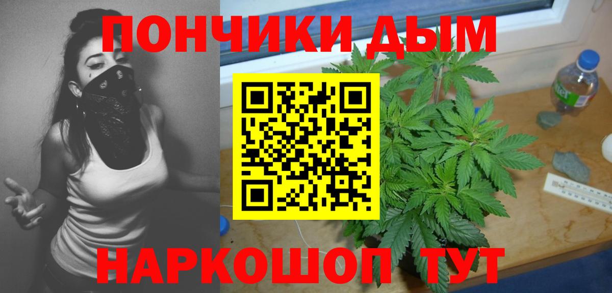 Бошки Шишки планчик  Канабис Ganja  Кинель  Канабис OG Kush  Вход с VPN  Конопля VHQ 